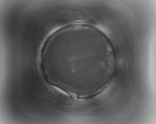 X0000088401413200706051127