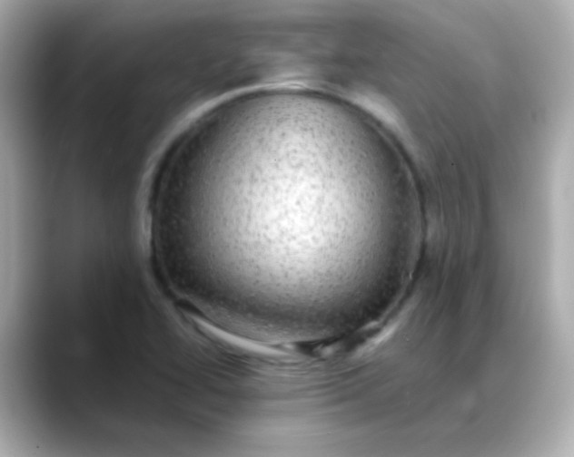 X0000088401414200706051127