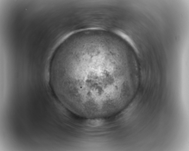 X0000088401415200706051127