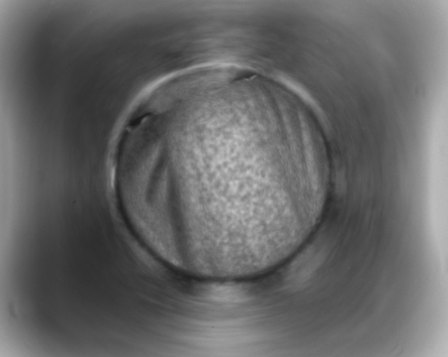 X0000088401416200706051127