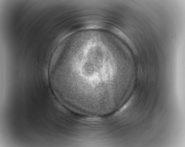 X0000088401417200706051127