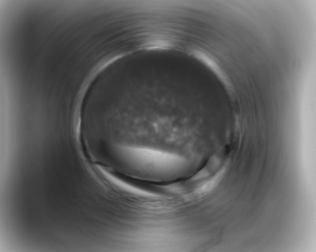 X0000088401418200706051128