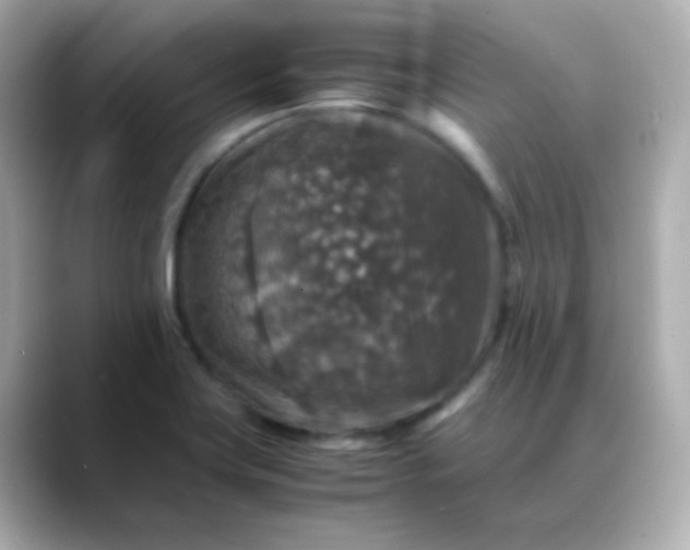 X0000088401419200706051128