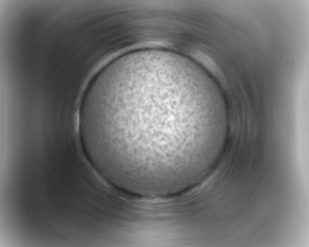 X0000088401420200706051128