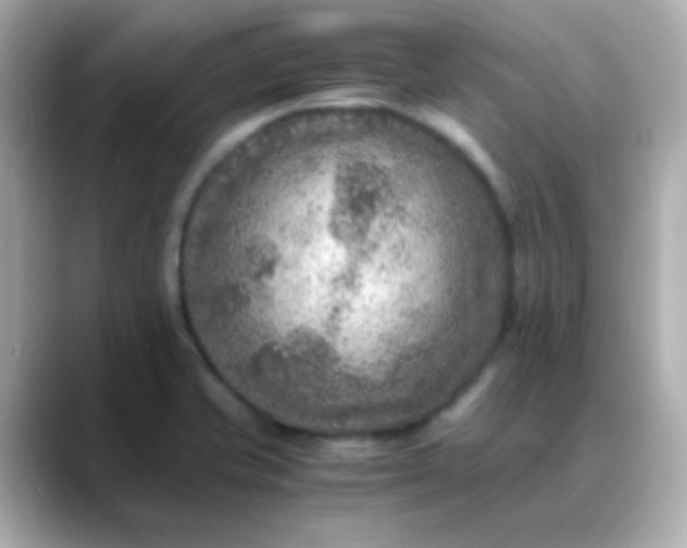 X0000088401421200706051128