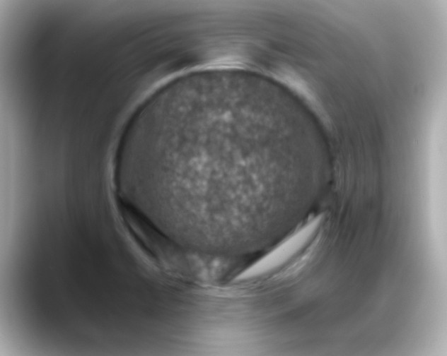 X0000088401422200706051128