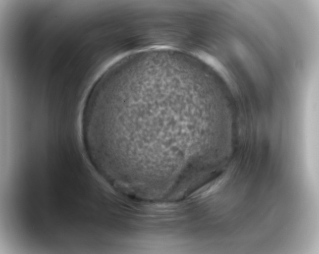 X0000088401423200706051128