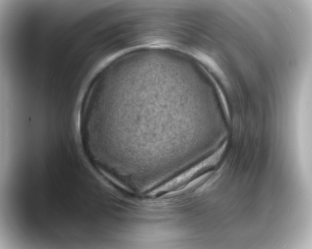 X0000088401424200706051128