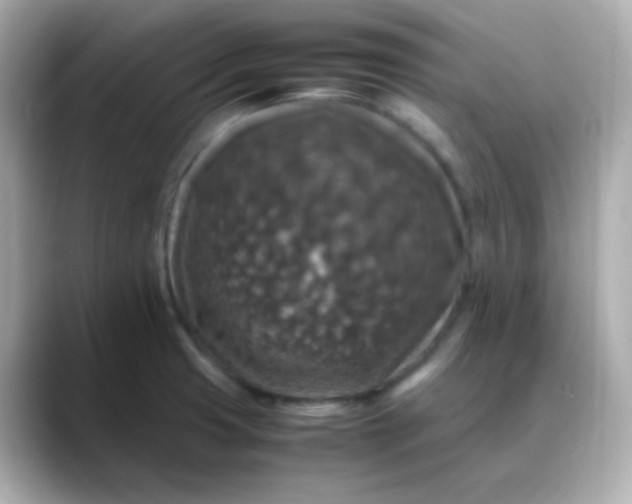 X0000088401425200706051128