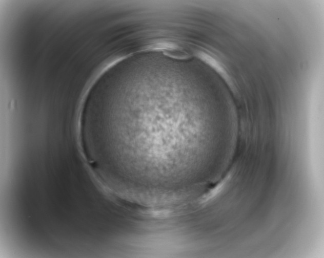 X0000088401426200706051128