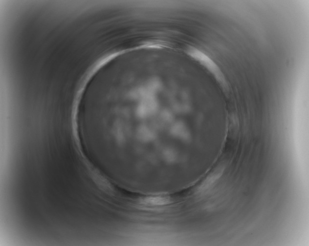 X0000088401427200706051128