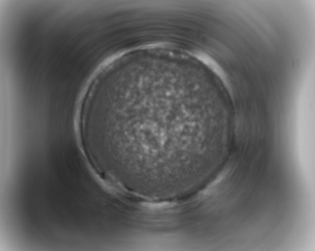 X0000088401429200706051128