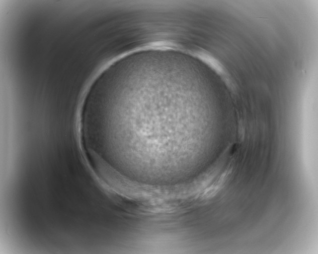 X0000088401430200706051128