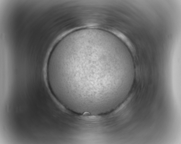 X0000088401432200706051128