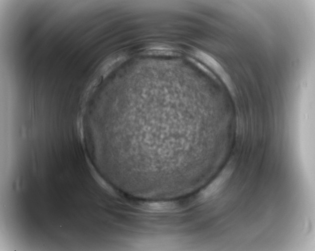 X0000088401433200706051128