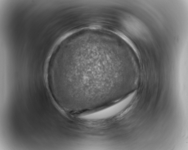 X0000088401437200706051128