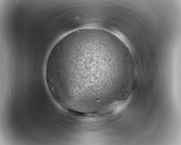 X0000088401438200706051128