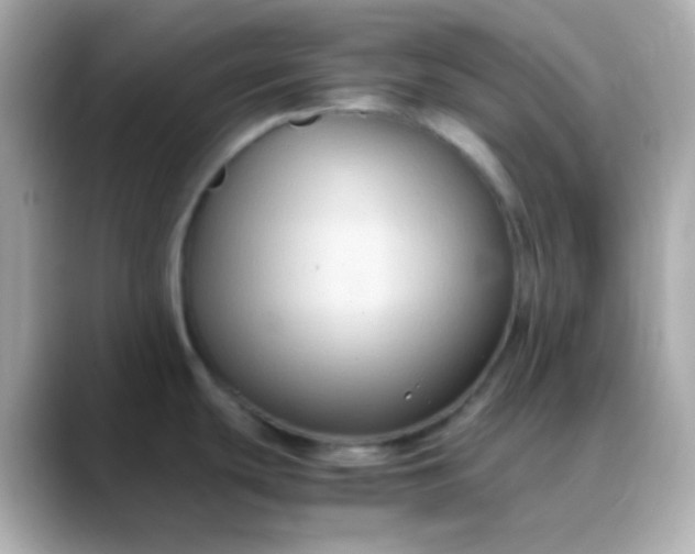 X0000088401439200706051128