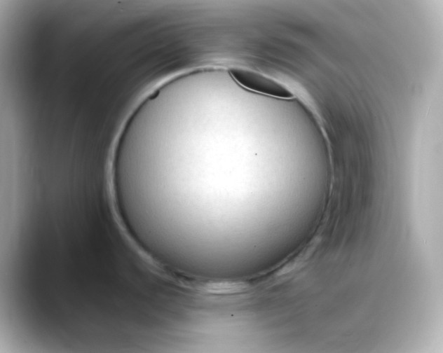 X0000088401440200706051128