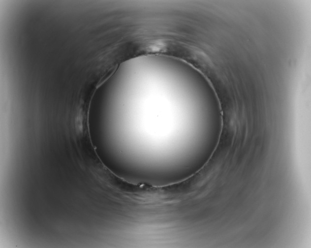 X0000088401442200706051127