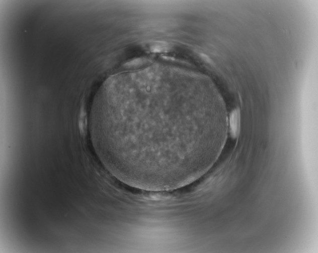 X0000088401443200706051127