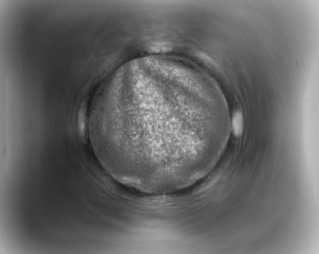 X0000088401444200706051127