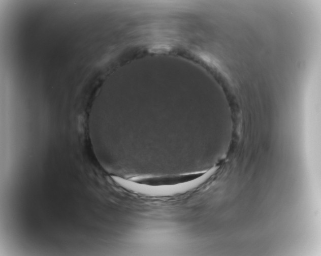 X0000088401445200706051127