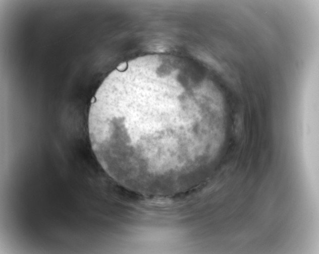 X0000088401446200706051127