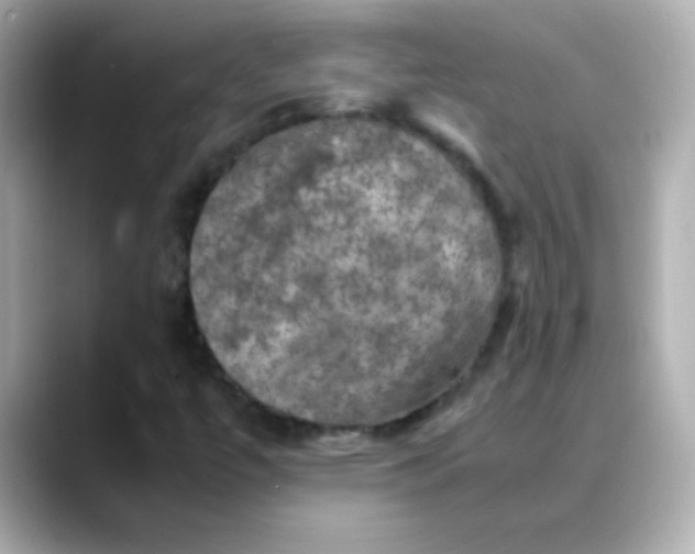 X0000088401447200706051127