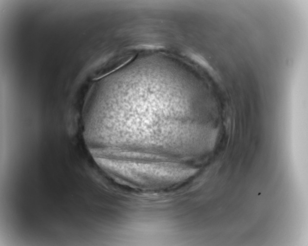 X0000088401448200706051127