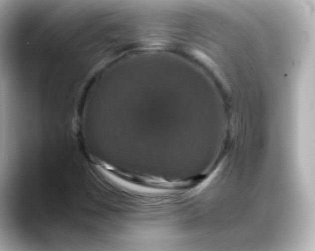 X0000088401449200706051127