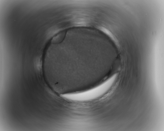 X0000088401450200706051127