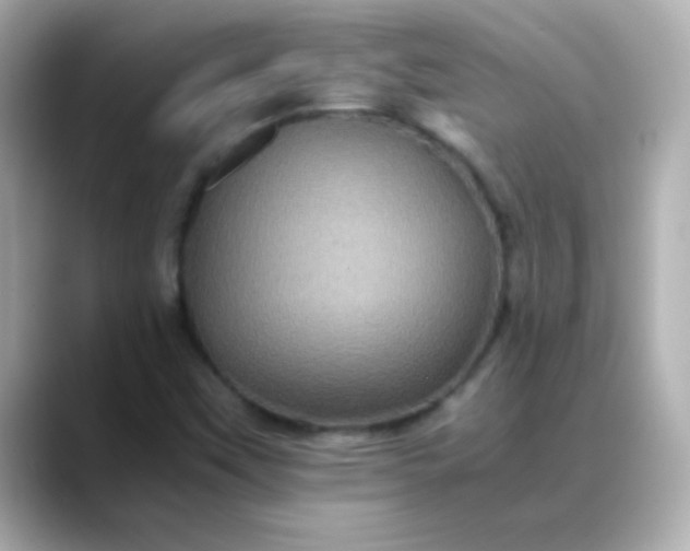 X0000088401451200706051127