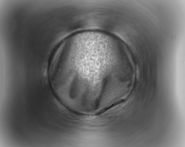 X0000088401452200706051127