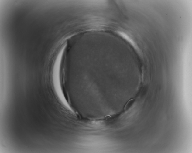 X0000088401453200706051127