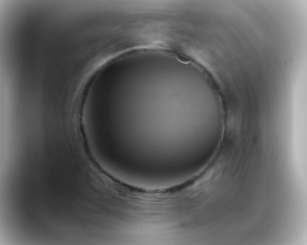 X0000088401455200706051127