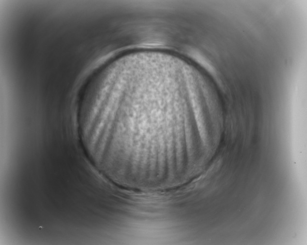 X0000088401456200706051127