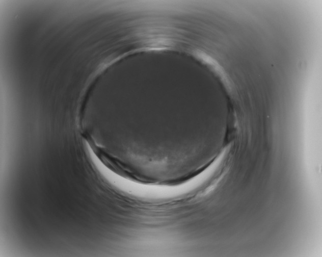 X0000088401457200706051127