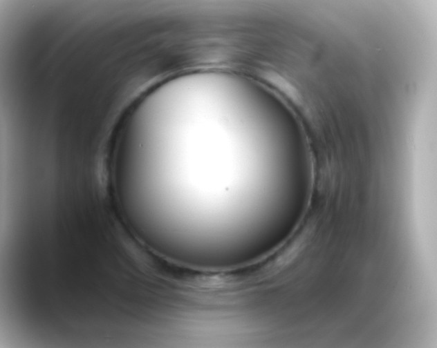 X0000088401458200706051127