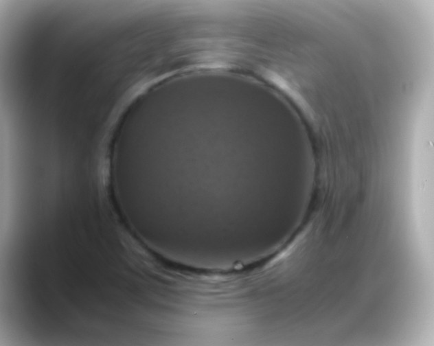 X0000088401459200706051127