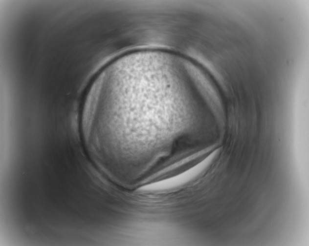 X0000088401460200706051127