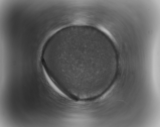 X0000088401461200706051127