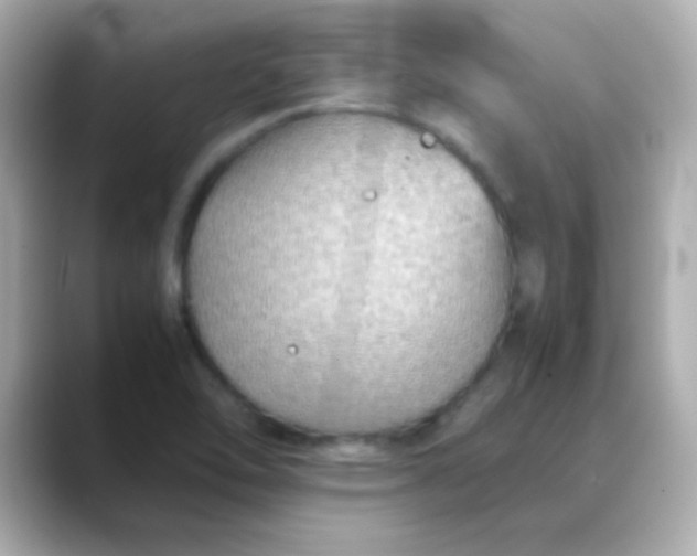 X0000088401462200706051127