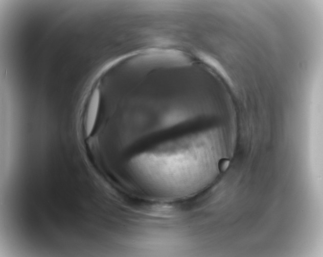 X0000088401463200706051127