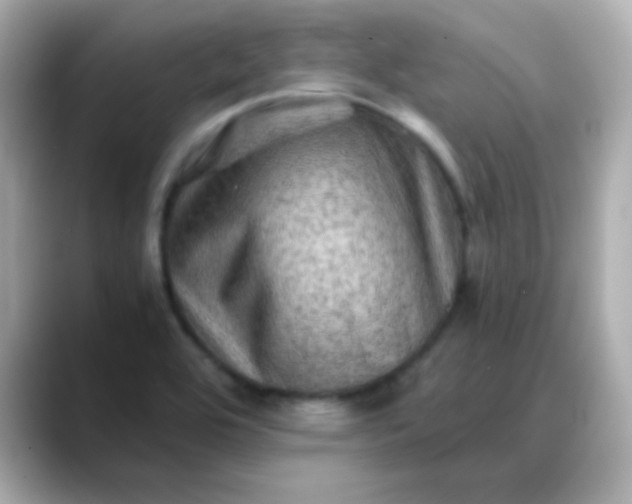 X0000088401464200706051127