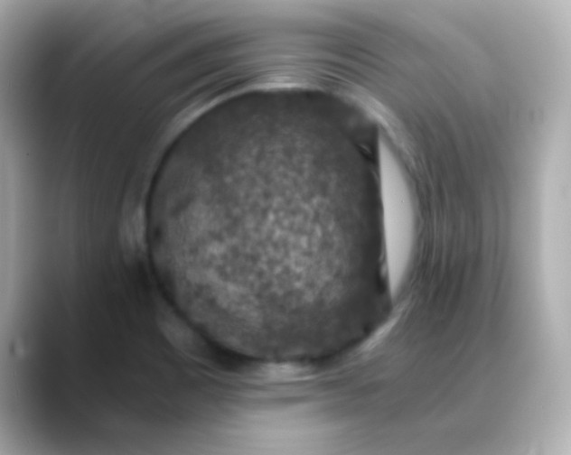 X0000088401465200706051127