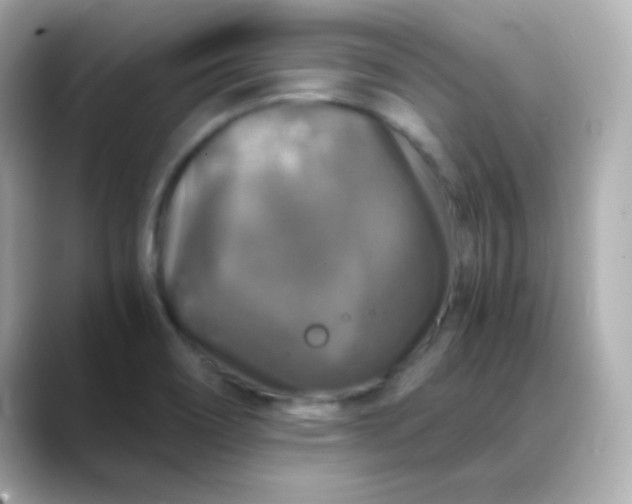 X0000088401466200706051127