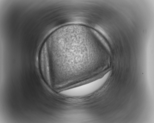 X0000088401468200706051127