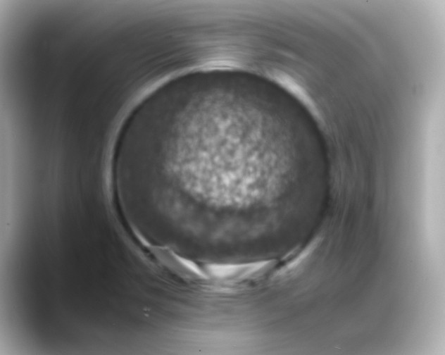 X0000088401469200706051127