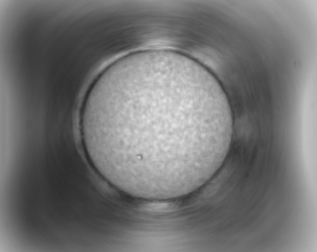 X0000088401470200706051127